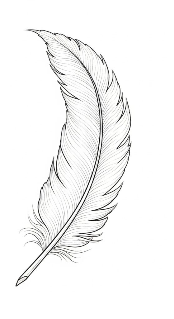 Choose the Right Feather Design